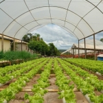 Fita Reparadora Estufa - Imagem 2