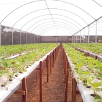 Fita Reparadora Estufa - Imagem 4