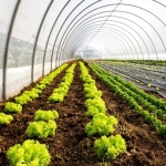 Fita Reparadora Estufa - Imagem 3